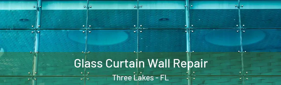  Glass Curtain Wall Repair Three Lakes - FL