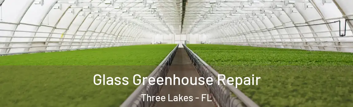  Glass Greenhouse Repair Three Lakes - FL