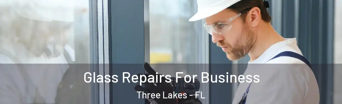  Glass Repairs For Business Three Lakes - FL