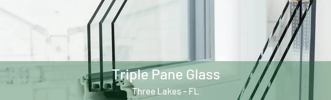  Triple Pane Glass Three Lakes - FL